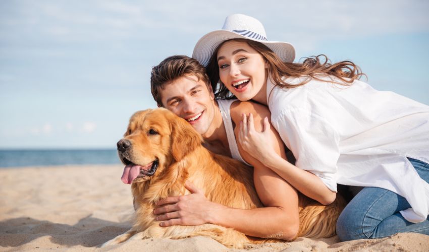 Choosing the Perfect Family Dog: Key Traits to Consider When Deciding on a Breed